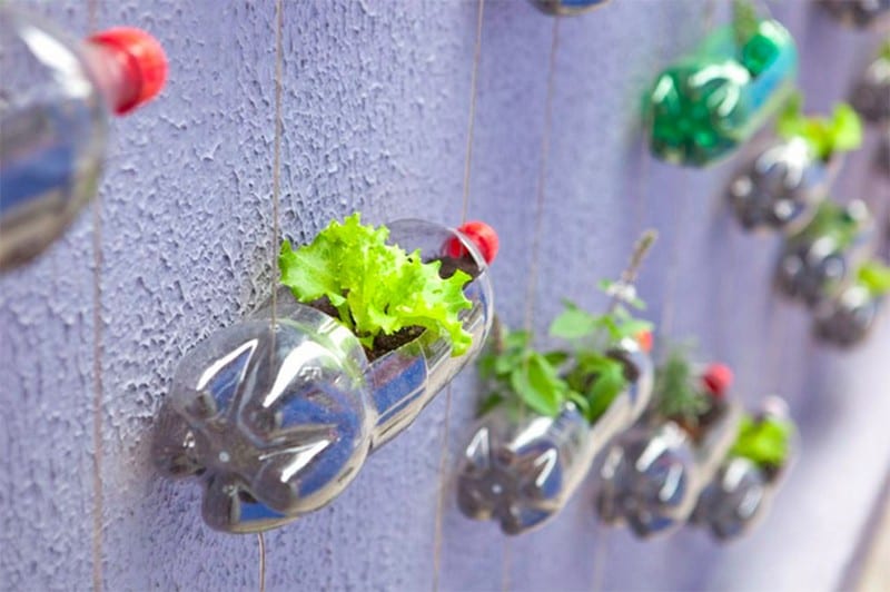 Fun And Creative Crafts With Recycled Plastic Soda Bottles