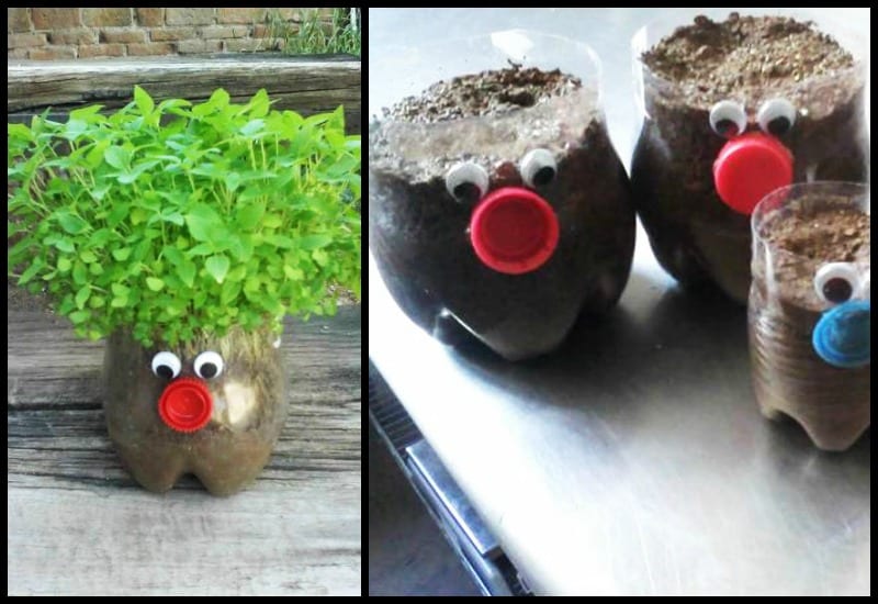 Fun And Creative Crafts With Recycled Plastic Soda Bottles – Easy DIY